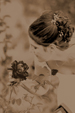 I servizi fotografici per i matrimoni