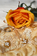 I servizi fotografici per i matrimoni
