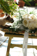 I servizi fotografici per i matrimoni