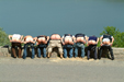 I reportage di Pascal Lacroix