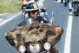 I reportage di Pascal Lacroix
